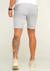 Jack & Jones JPSTGORDON JJBRAD Sweat Shorts Hellgrau/Grau