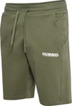 hummel Shorts Hmllegacy Dunkelgrün