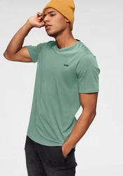 Vans T-Shirt ESSENTIALLOOSESS Grün/Hellgrün