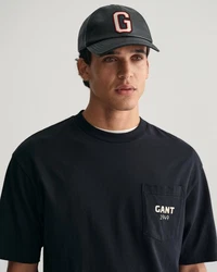 Gant T-Shirt 1949 Graphic Grau/Dunkelblau