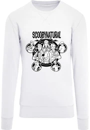 Rundhalspullover Herren (1-tlg)