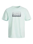 Jack & Jones Kurzarmshirt JJSTEEL TEE SS CREW NECK Grün/Hellgrün/Türkis