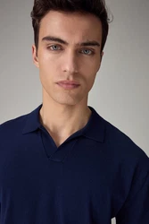 Next Polokragenpullover Regular Fit Trophy Dunkelblau/Blau