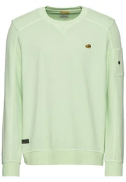 Sweatshirt aus reiner Baumwolle