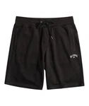 Billabong Arch Shorts Herren 