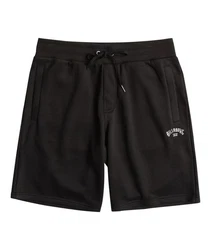 Billabong Arch Shorts Herren 