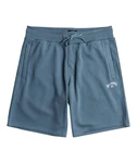 Billabong Arch Shorts Herren Blau/Grau/Dunkelblau/Hellblau