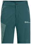 Jack Wolfskin Outdoorhose GLASTAL SHORTS 