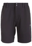 WHISTLER Funktionsshorts AVIAN ACTIV STRETCH Dunkelblau/Schwarz/Grau