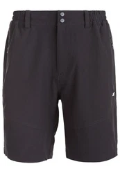 WHISTLER Funktionsshorts AVIAN ACTIV STRETCH Dunkelblau/Schwarz/Grau