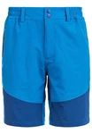 WHISTLER Funktionsshorts AVIAN ACTIV STRETCH Hellblau/Blau/Türkis
