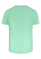 Chiemsee Print-Shirt T-Shirt mit Label-Symbol (1) Türkis/Grün/Hellgrün