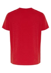 Chiemsee Print-Shirt T-Shirt mit Label-Symbol (1) Rot/Dunkelrot