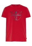 Chiemsee Print-Shirt T-Shirt mit Label-Symbol (1) Rot/Dunkelrot
