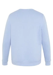 Chiemsee Sweatshirt Basic-Look mit Logo-Motiv Blau/Hellblau