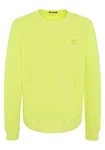 Chiemsee Sweatshirt Basic-Look mit Logo-Motiv Neonfarben/Gelb/Grün