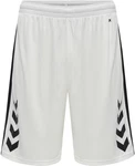 hummel Shorts 