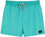 Rip Curl Shorts OFFSET VOLLEY 