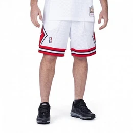 Funktionsshorts NBA Swingman Shorts 2.0 Chicago Bulls