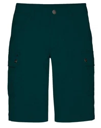 Jeff Green Funktionsshorts Stan Dunkelgrün/Grün/Türkis/Blau