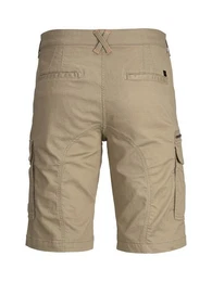 Funktionsshorts JPSTDEX JJCARGO SHORTS AKM SN