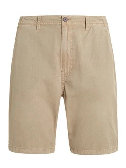 Protest Cargoshorts PRTCOMIE