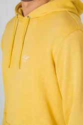 REELL Kapuzenpullover Staple Terry Hoodie Gelb