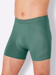 Formpants Pants (2-St)