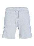 Jack & Jones Shorts JPSTSWIFT Cargo Sweat Shorts Grau/Hellgrau
