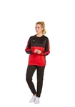 Erima Sweatshirt Six Wings Rot