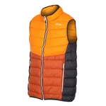 Regatta Weste Harrock II Orange/Gelb/Mischfarben/Rot