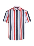 Tommy Jeans Kurzarmhemd TJM RLX STRIPES SHIRT mehrfarbig
