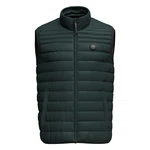 Pepe Jeans Steppweste BALLE GILLET Dunkelgrün/Grün