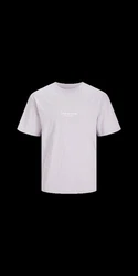 Jack & Jones T-Shirt JORVESTERBRO 