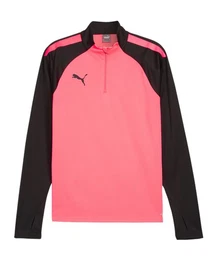 Sweatshirt teamLIGA HalfZip Sweatshirt