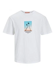 Jack & Jones T-Shirt JORARUBA SMALL PHOTO TEE SS CREW NECK Weiß/Beige/Blau