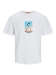 Jack & Jones T-Shirt JORARUBA SMALL PHOTO TEE SS CREW NECK Weiß/Beige/Blau