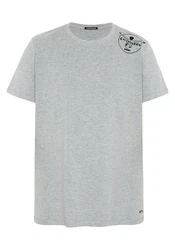 Chiemsee Print-Shirt T-Shirt mit Jumper-Logo Hellgrau/Grau