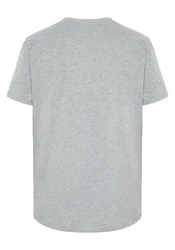 Chiemsee Print-Shirt T-Shirt mit Jumper-Logo Hellgrau/Grau
