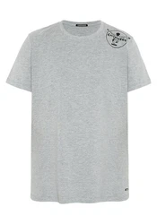 Chiemsee Print-Shirt T-Shirt mit Jumper-Logo Hellgrau/Grau