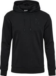 Kapuzenpullover Hmlactive Co Hoodie