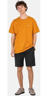 REELL Shorts Reflex Easy Short 