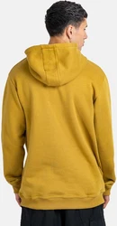 REELL Hoodie Prior Gelb/Beige