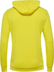 hummel Hoodie Hmlauthentic Pl Hoodie 
