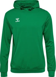 hummel Hoodie Hmlauthentic Pl Hoodie 