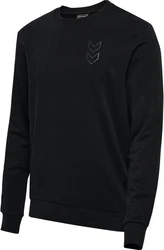 hummel Kapuzenpullover Hmlactive Sweatshirt Schwarz