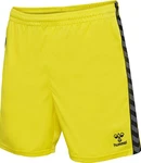 Hummel Sportshorts 'Authentic' 