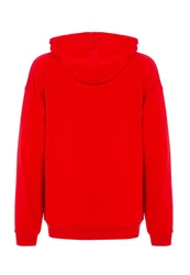 RedBridge Herren Kapuzenpullover Hoodie NASA Rot