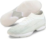 PUMA Adrenalite 1.1 Handballschuh GRAU/WEISS