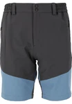 WHISTLER Funktionsshorts AVIAN ACTIV STRETCH Grau/Dunkelblau/Blau